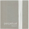 PIRASTRO PERPETUAL 333020