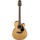TAKAMINE GN10CE NS
