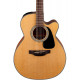 TAKAMINE GN10CE NS
