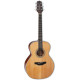 TAKAMINE GN20 NS
