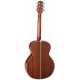 TAKAMINE GN20 NS
