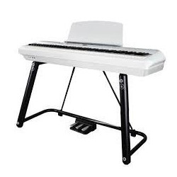 PEARL RIVER P60 +3 pedal+U stand WH