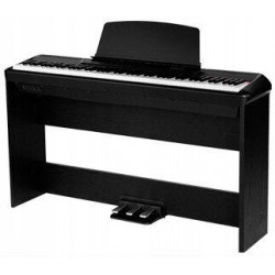 PEARL RIVER P60 +3 pedal+W stand BK