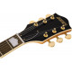 GRETSCH G2410TG STREAMLINER HOLLOW BODY WITH BIGSBY VILLAGE AMBER