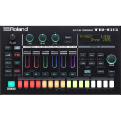 ROLAND TR6S